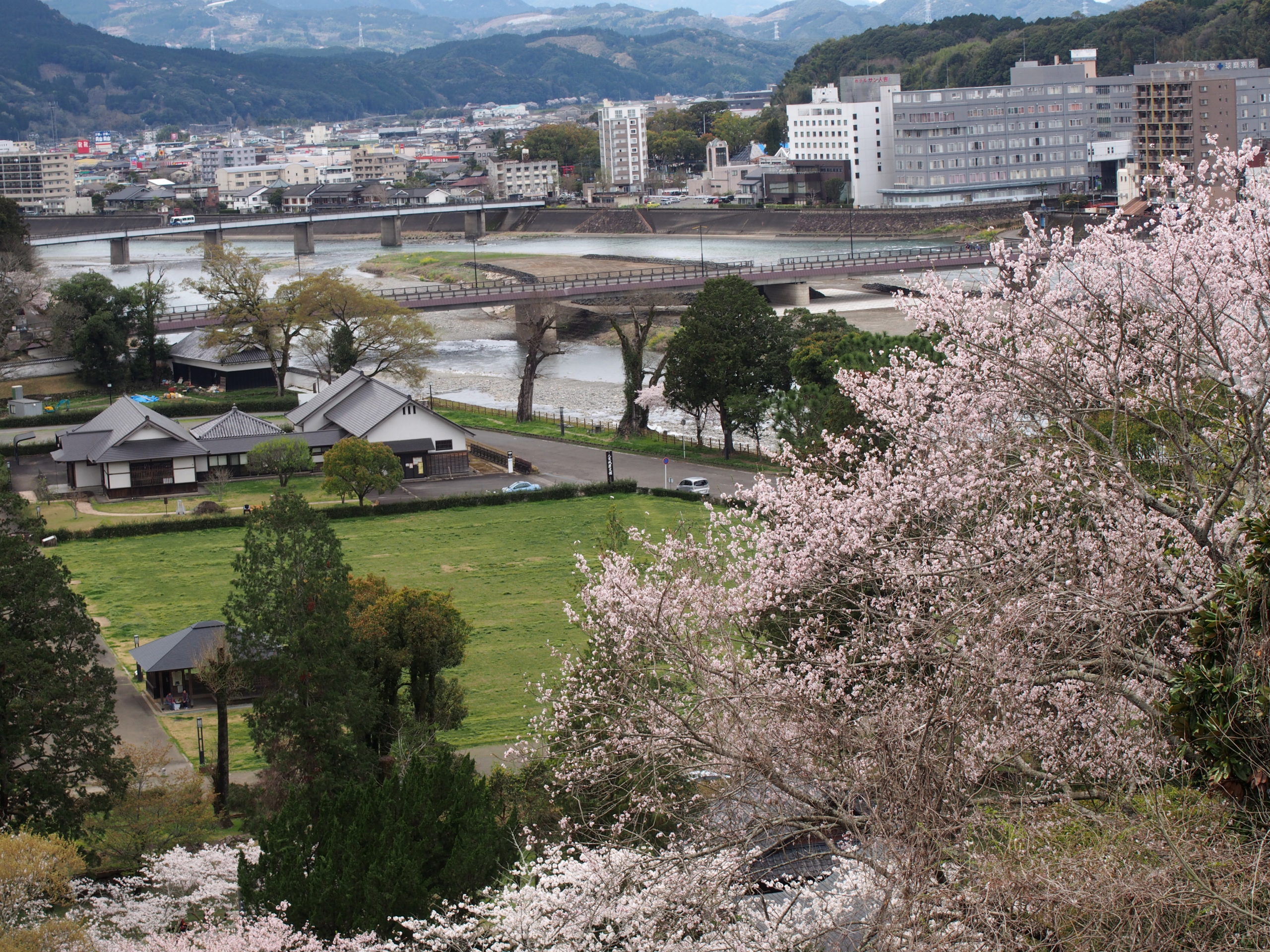 人吉城跡と桜